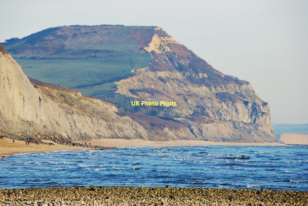 Photo 6"x4" Golden Cap, Dorset Chideock c2007