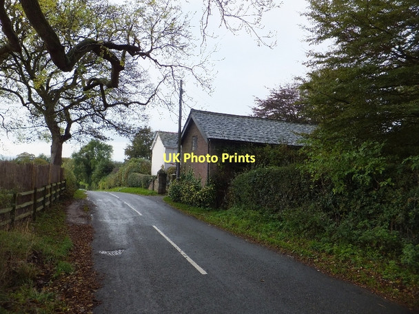 Photo 6"x4" Summer Bank farm Boothsdale c2011