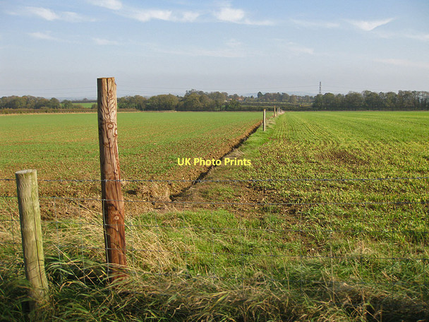Photo 6"x4" Fence line, looking towards Long Plantation Malton\/SE7871 c2011