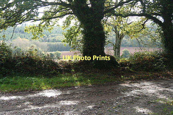 Photo 6"x4" Broadclyst: by Whidown Hele\/SS9902 c2011