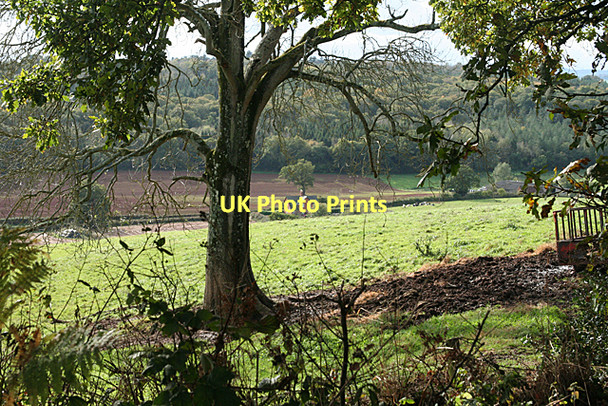 Photo 6"x4" Broadclyst: towards Brook Hill Hele\/SS9902 c2011