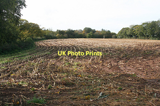 Photo 6"x4" Broadclyst: stubble field Clyst St Lawrence c2011
