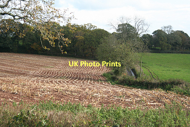 Photo 6"x4" Broadclyst: stubble field Clyst St Lawrence c2011