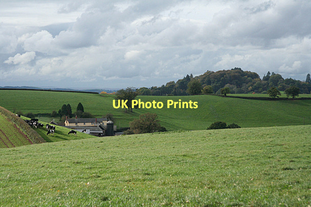Photo 6"x4" Broadclyst: towards Lower Comberoy Farm Hollis Head c2011