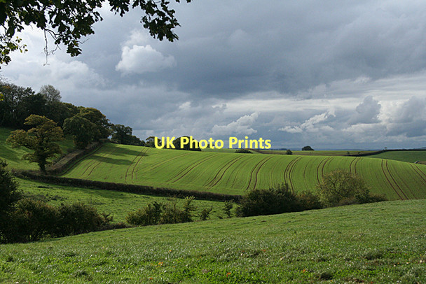 Photo 6"x4" Broadclyst: above Lower Comberoy Farm Hollis Head c2011