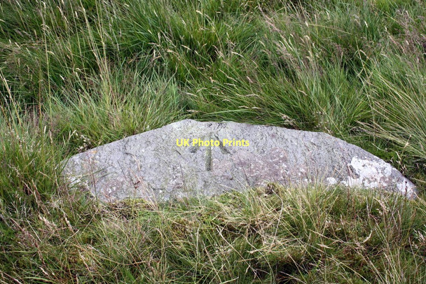 Photo 6"x4" Benchmark on rock in moorland off Cam High Road Gayle c2011