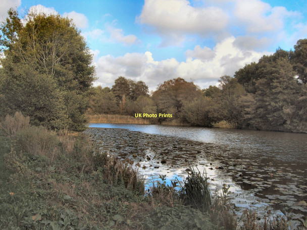Photo 6"x4" Herstmonceux Castle Moat Golden Cross\/TQ6310 c2011