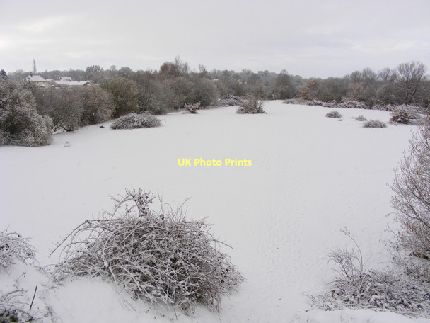 Photo 6"x4" Winter view over Broome Heath Broome\/TM3491 c2010