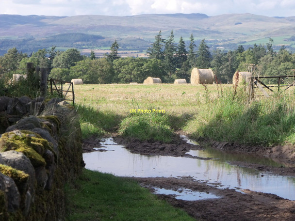 Photo 6"x4" Harvested field at Tullibardine near Auchterarder Tullibardine c2011
