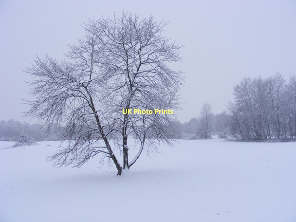 Photo 6"x4" Winter view of Broome Heath Broome\/TM3491 c2010