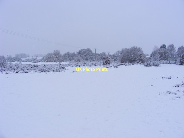 Photo 6"x4" Winter view of Broome Heath Broome\/TM3491 c2010 P1