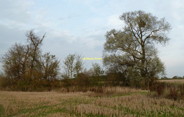 Photo 6"x4" Dried up pond St Peter The Great c2011