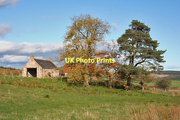 Photo 6"x4" Brauchhill, Braichill or Braehill? Rothes c2011