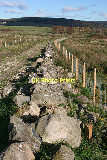 Photo 6"x4" Remains of a Dyke Rothes c2011