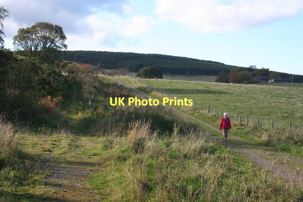 Photo 6"x4" The Track to Ardcanny Rothes c2011