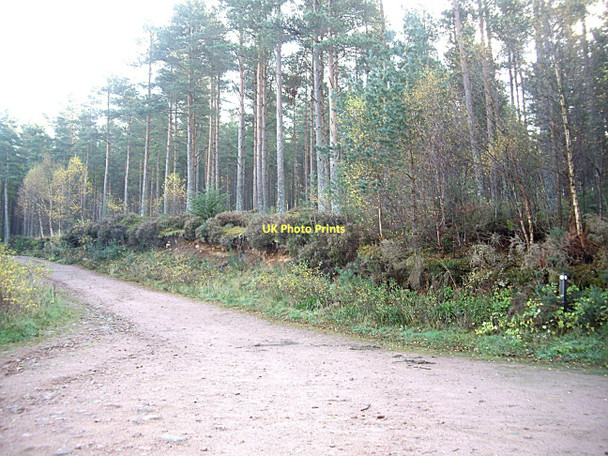 Photo 6"x4" Builg Road from Bridge of Bogendreip Strachan c2011