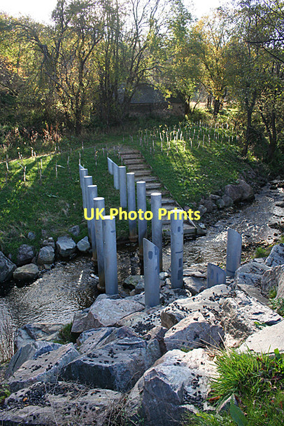 Photo 6"x4" Mystery Structure Rothes c2011