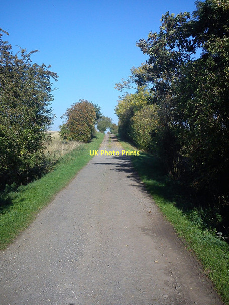 Photo 6"x4" Lane from Roxhill Manor Farm to Ashbrook Farm Gossard's Green c2011