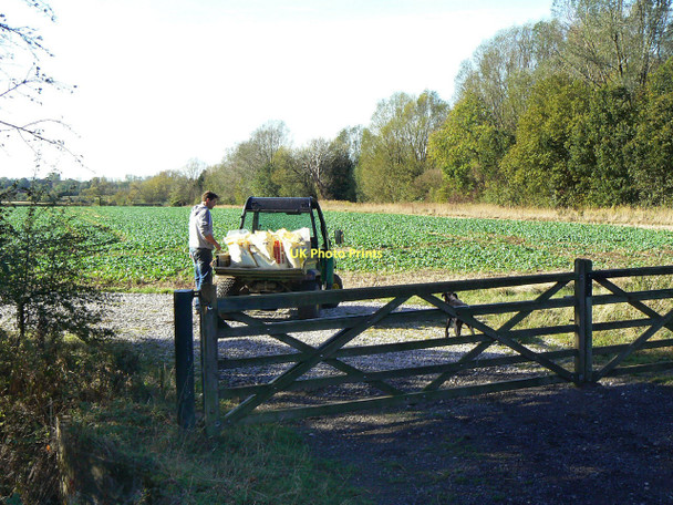 Photo 6"x4" Feed the birds Stanton-on-the-Wolds c2011
