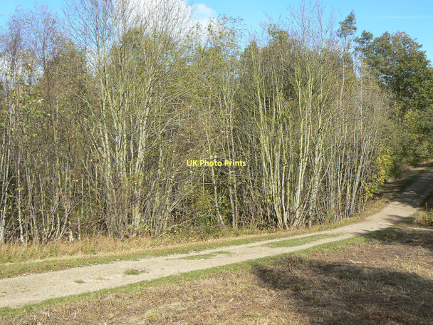 Photo 6"x4" In Long Lees Clipston\/SK6334 c2011 P1
