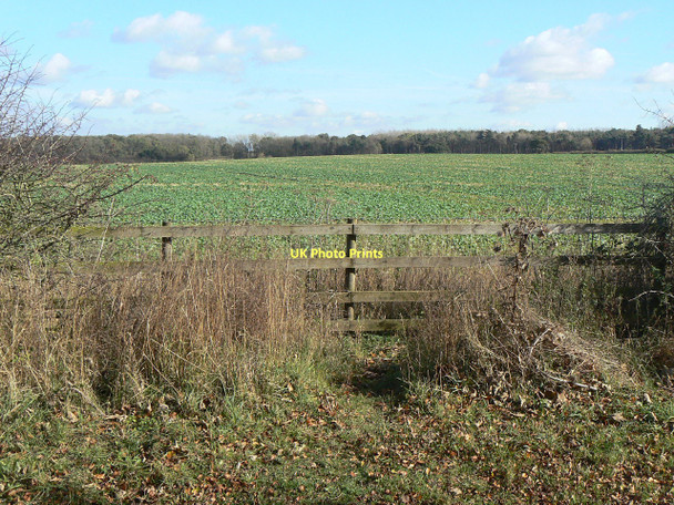 Photo 6"x4" Field on Cotgrave Wolds Owthorpe c2011