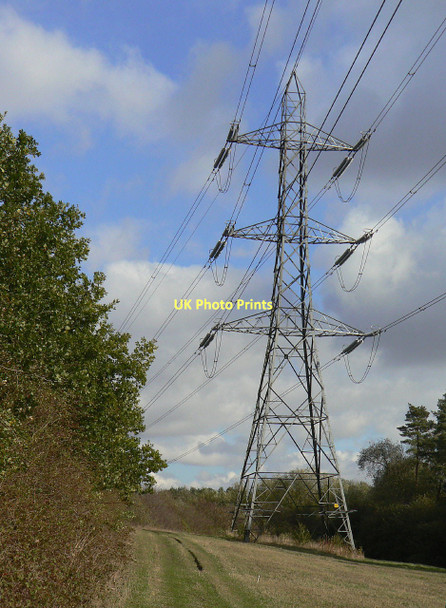 Photo 6"x4" Pylon in the forest Clipston\/SK6334 c2011