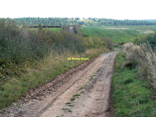Photo 6"x4" Wolds Lane, looking from Clipston Clipston\/SK6334 c2011