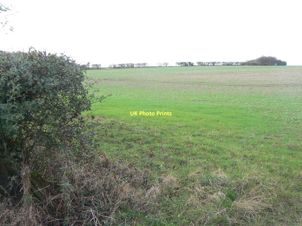 Photo 6"x4" Field near Clipston Clipston\/SK6334 c2011