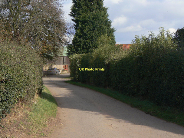 Photo 6"x4" Road to Manor Farm Clipston\/SK6334 c2011