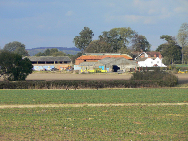 Photo 6"x4" Peashill Farm Bassingfield c2011