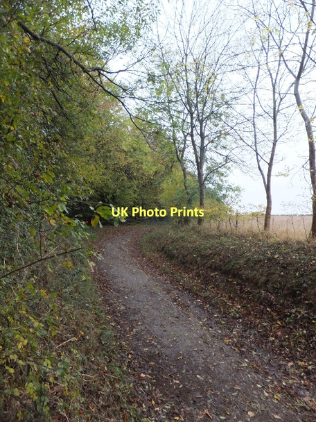 Photo 6"x4" Bridleway beside Langley Wood Sandridge\/TL1710 c2011
