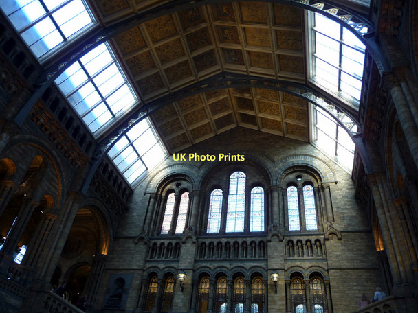 Photo 6"x4" Natural History Museum, London SW1 Kensington\/TQ2579 c2011