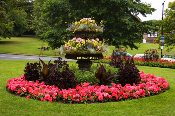 Photo 6"x4" Flowerbed on Montpelier Hill Harrogate c2011