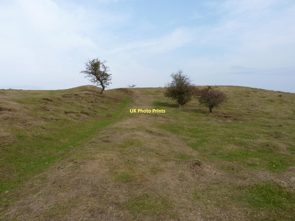 Photo 6"x4" Shire Ditch running south on Hangman's Hill Little Malvern c2011