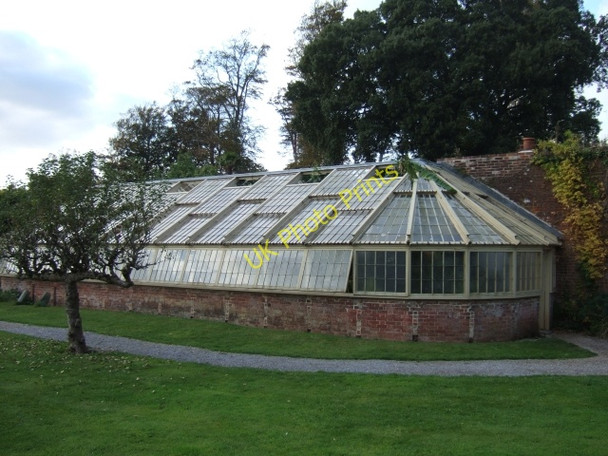 Photo 6"x4" Greenhouse in one of the walled gardens at Greenway Dittisham c2009