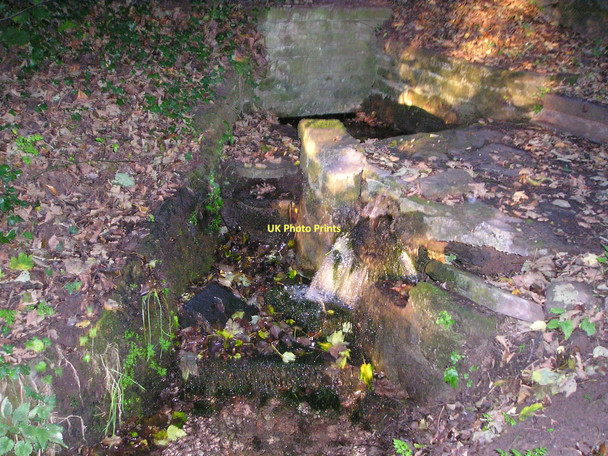Photo 6"x4" Water emerging from St Milburgha's Well Stoke St Milborough c2011