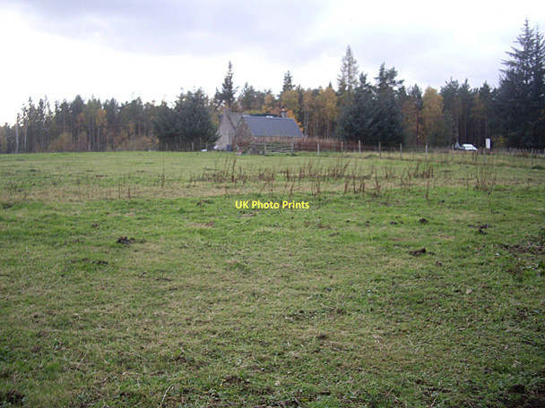 Photo 6"x4" Rough grazing at Upper Lochton Banchory\/NO6995 c2011