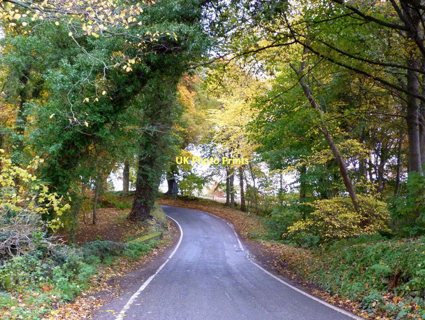 Photo 6"x4" Minor road by Lemlair Ardullie c2011