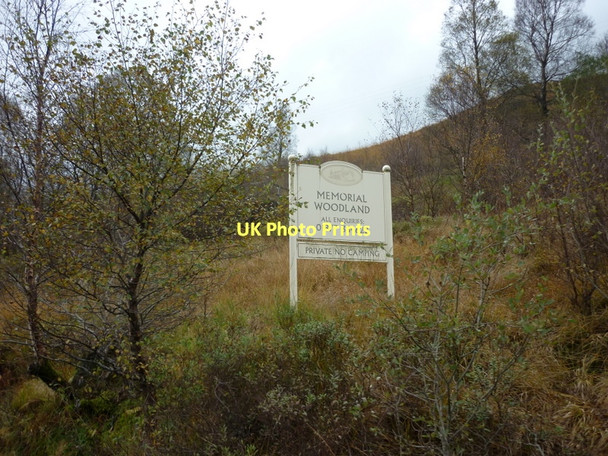 Photo 6"x4" A notice at Memorial Woodland Loch Doine c2011