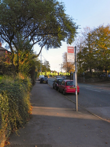 Photo 6"x4" Werneth Road Hyde\/SJ9494 c2011
