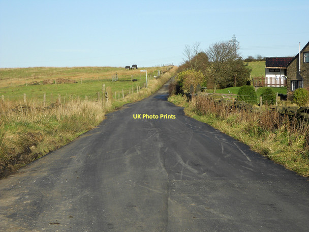 Photo 6"x4" High Lee Lane Roebuck Low c2011