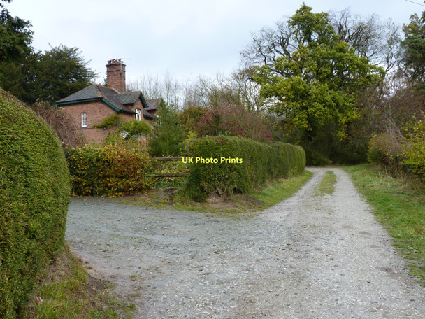 Photo 6"x4" Cottage at Roman Bank Rushbury c2011