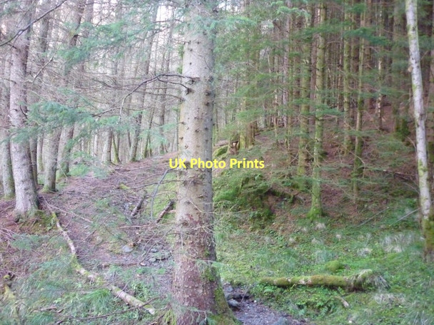 Photo 6"x4" Walking to Loch Earn via Glen Ample Ardchullarie More c2011