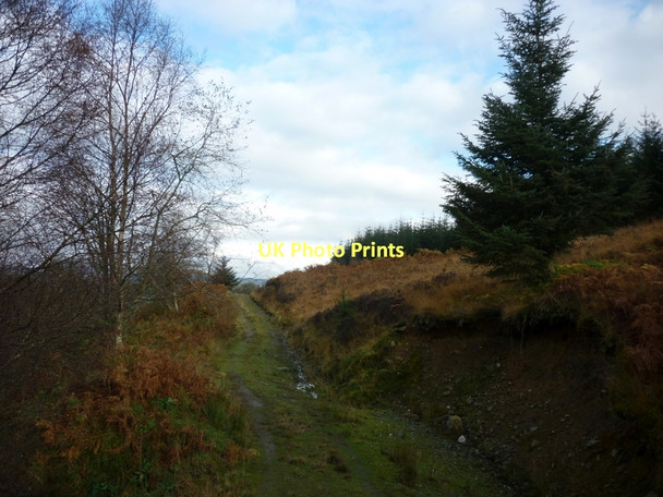 Photo 6"x4" Walking to Loch Earn via Glen Ample Strathyre\/NN5617 c2011 P2