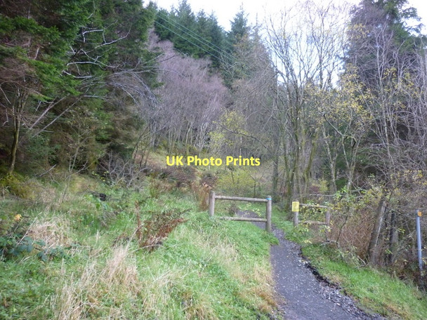 Photo 6"x4" Walking up Ben Ledi Kilmahog c2011