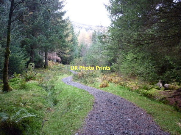 Photo 6"x4" Walking up Ben Ledi Kilmahog c2011 P1