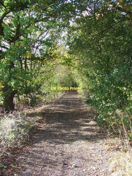 Photo 6"x4" Long Lane Hickford Hill c2011