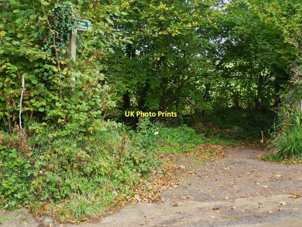 Photo 6"x4" Orange Way in Devon and Torbay (94) Abbotskerswell c2011