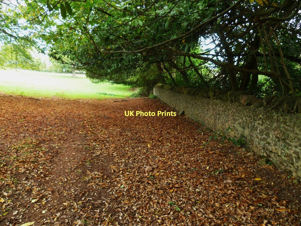 Photo 6"x4" Orange Way in Devon and Torbay (97) Abbotskerswell c2011