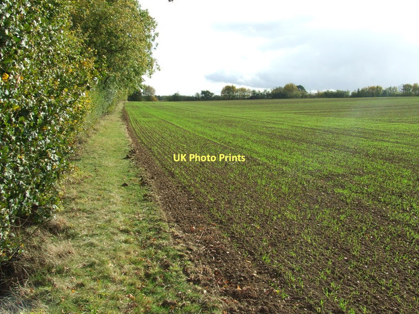 Photo 6"x4" Green Field Knowl Green c2011